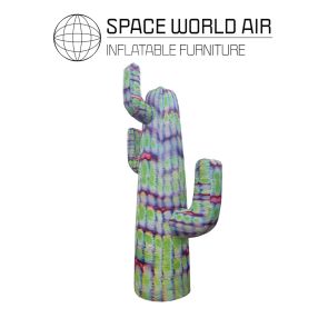 NOLEGGIO CACTUS VIBRANT 3 M