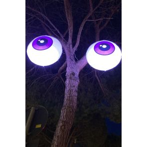 NOLEGGIO TREE EYES