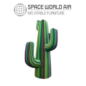 NOLEGGIO CACTUS VERDE 3 M