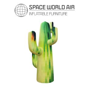 NOLEGGIO CACTUS BRUSH BLOOM 4 M