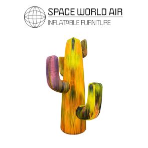 NOLEGGIO CACTUS DESERT 3 M