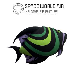 NOLEGGIO TRIGGERFISH 2 M