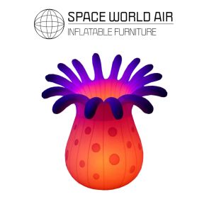 NOLEGGIO ANEMONE VIOLA 3.6 M