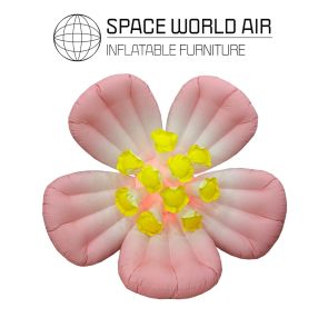 NOLEGGIO FIORE BEGONIA 2M