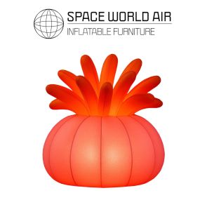 NOLEGGIO CORALLO ROSSO 2.5 M