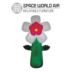 NOLEGGIO FIORE BIANCO 3 M