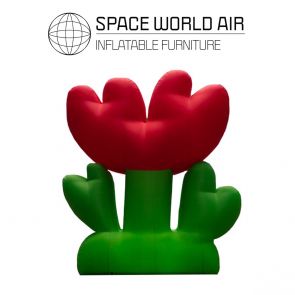 NOLEGGIO BIG FLOWER 6 M