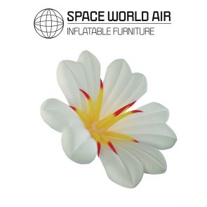 NOLEGGIO FIORE LILIUM CANDIDUM 2 / 3 M