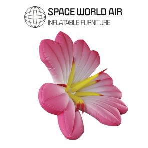 NOLEGGIO FIORE LILIUM CANDIDUM PINK 2 M