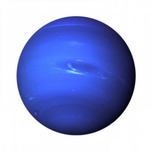 NOLEGGIO NETTUNO 2,5 M