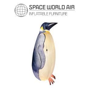 NOLEGGIO PINGUINO 2M