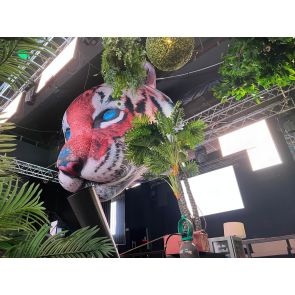 NOLEGGIO TESTA TIGRE 4 MT