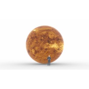 NOLEGGIO VENERE 1,5 M